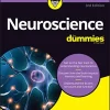 Neuroscience For Dummies, 3rd edition (Original PDF from Publisher)