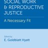 Social Work and Reproductive Justice: A Necessary Fit (Original PDF from Publisher)