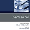 Endocrinology, An Issue of Primary Care: Clinics in Office Practice (EPUB and pdf)