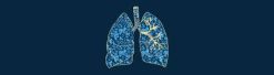 Columbia University Pulmonology-Rheumatology 2026 (Videos)