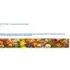 Scripps Conference Arrhythmias and Cardiomyopathy in Women Symposium 2026