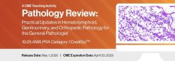 DocmedED 2026 Pathology Review Practical Updates in Hematolymphoid, Genitourinary, and Orthopedic Pathology for the General Pathologist