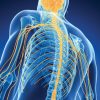 Oakstone Samuels Comprehensive Review of Neurology 2026