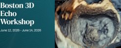 Harvard Boston 3D Echo Workshop 2026