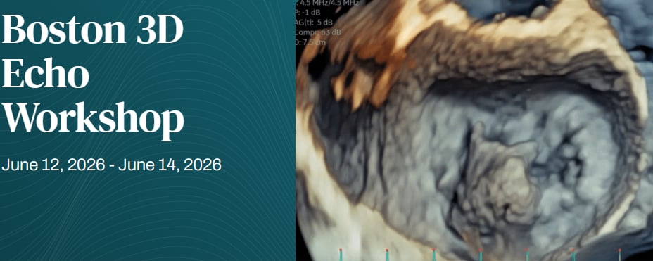 Harvard Boston 3D Echo Workshop 2026