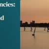 Harvard Heat Emergencies Prevention, Diagnosis, and Management 2026