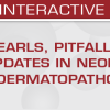 USCAP Pearls, Pitfalls, and Updates in Neoplastic Dermatopathology 2025